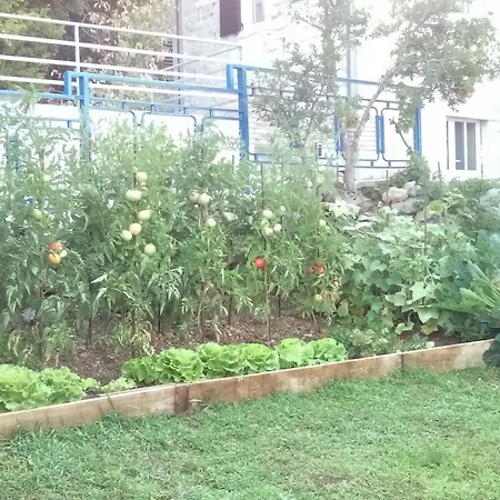 Bonavista Apartament